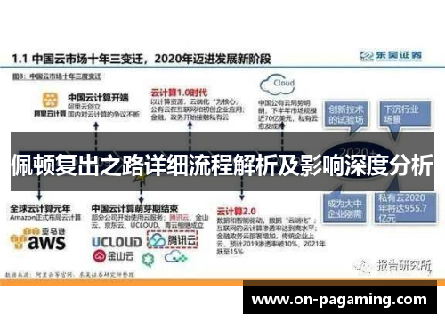 佩顿复出之路详细流程解析及影响深度分析