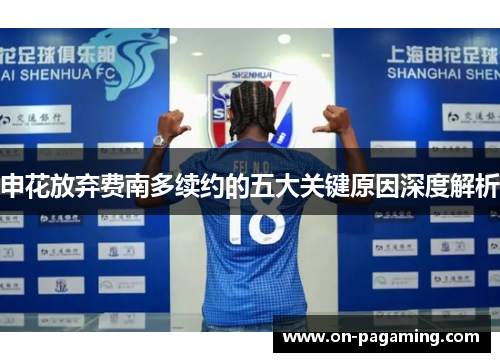 申花放弃费南多续约的五大关键原因深度解析